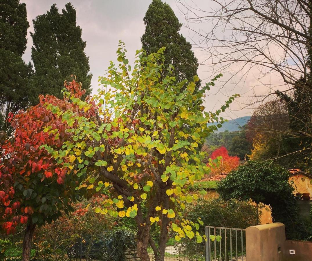 Casa468 Daire San Giuliano Terme Dış mekan fotoğraf